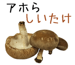 Shiitake. sticker #15003368