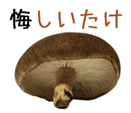 Shiitake. sticker #15003374