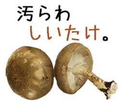 Shiitake. sticker #15003383