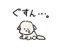 Maltese<Dog breed> sticker #15004475
