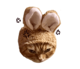 mamechiyo's 9cats family vol.2 sticker #15005031