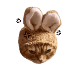 mamechiyo's 9cats family vol.2 sticker #15005031