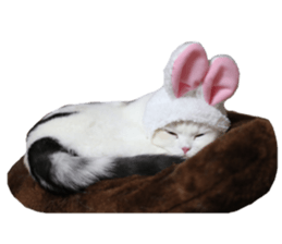 mamechiyo's 9cats family vol.2 sticker #15005033