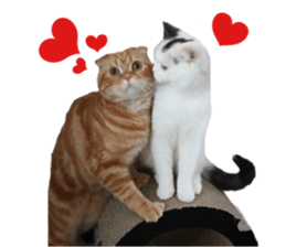 mamechiyo's 9cats family vol.2 sticker #15005034