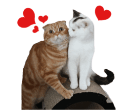 mamechiyo's 9cats family vol.2 sticker #15005034