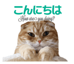 mamechiyo's 9cats family vol.2 sticker #15005036