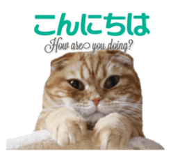 mamechiyo's 9cats family vol.2 sticker #15005036