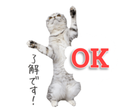 mamechiyo's 9cats family vol.2 sticker #15005038