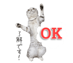 mamechiyo's 9cats family vol.2 sticker #15005038