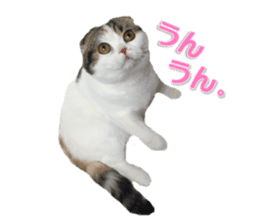 mamechiyo's 9cats family vol.2 sticker #15005039