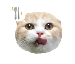 mamechiyo's 9cats family vol.2 sticker #15005040