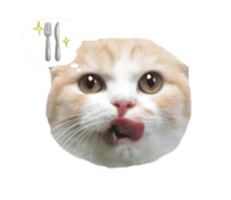 mamechiyo's 9cats family vol.2 sticker #15005040