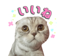 mamechiyo's 9cats family vol.2 sticker #15005041