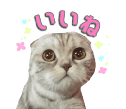 mamechiyo's 9cats family vol.2 sticker #15005041