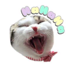 mamechiyo's 9cats family vol.2 sticker #15005043