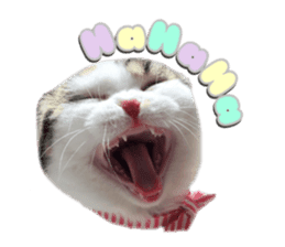 mamechiyo's 9cats family vol.2 sticker #15005043