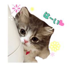 mamechiyo's 9cats family vol.2 sticker #15005045