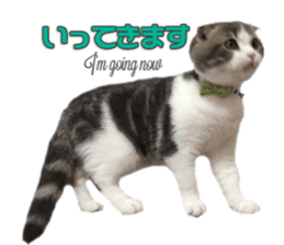 mamechiyo's 9cats family vol.2 sticker #15005047