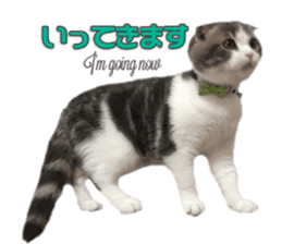 mamechiyo's 9cats family vol.2 sticker #15005047