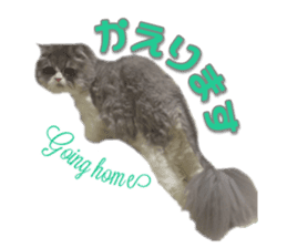 mamechiyo's 9cats family vol.2 sticker #15005048