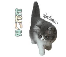 mamechiyo's 9cats family vol.2 sticker #15005049