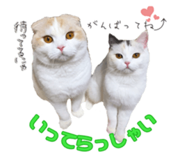 mamechiyo's 9cats family vol.2 sticker #15005050