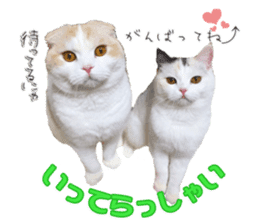 mamechiyo's 9cats family vol.2 sticker #15005050