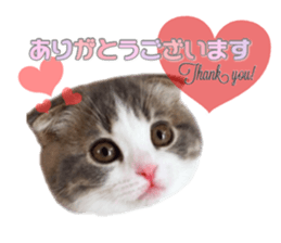 mamechiyo's 9cats family vol.2 sticker #15005055