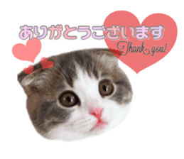 mamechiyo's 9cats family vol.2 sticker #15005055