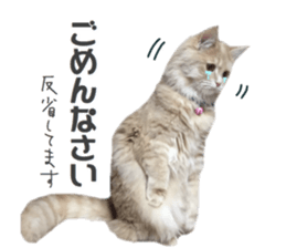 mamechiyo's 9cats family vol.2 sticker #15005059