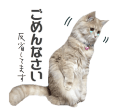 mamechiyo's 9cats family vol.2 sticker #15005059