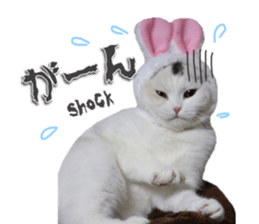 mamechiyo's 9cats family vol.2 sticker #15005061