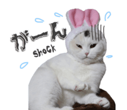 mamechiyo's 9cats family vol.2 sticker #15005061