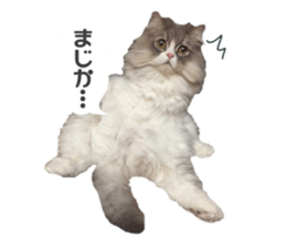 mamechiyo's 9cats family vol.2 sticker #15005062