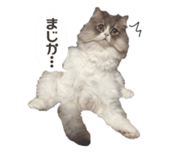 mamechiyo's 9cats family vol.2 sticker #15005062