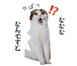 mamechiyo's 9cats family vol.2 sticker #15005063