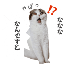 mamechiyo's 9cats family vol.2 sticker #15005063