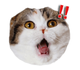 mamechiyo's 9cats family vol.2 sticker #15005064