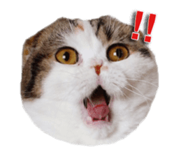 mamechiyo's 9cats family vol.2 sticker #15005064