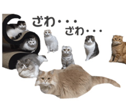 mamechiyo's 9cats family vol.2 sticker #15005067