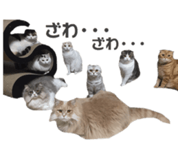 mamechiyo's 9cats family vol.2 sticker #15005067