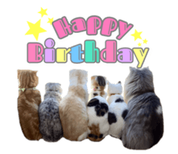 mamechiyo's 9cats family vol.2 sticker #15005068