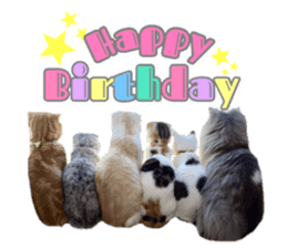 mamechiyo's 9cats family vol.2 sticker #15005068