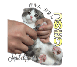 mamechiyo's 9cats family vol.2 sticker #15005069