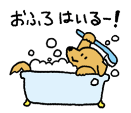 Golden Retriever<Dog breed> sticker #15005263