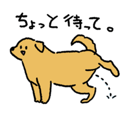 Golden Retriever<Dog breed> sticker #15005266