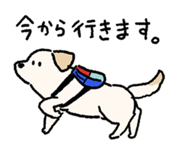 Labrador Retriever(Yellow)<Dog breed> sticker #15005312