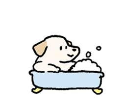 Labrador Retriever(Yellow)<Dog breed> sticker #15005333