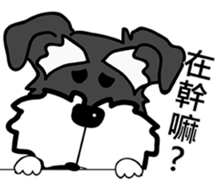 Qana sticker #15005546