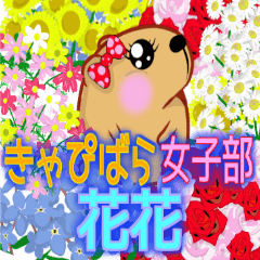 Kyapibara Girls Club flower flower